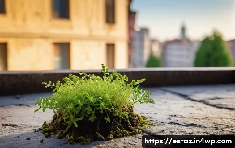 도시 생물다양성 보호를 위한 법적 조치 - **Prompt:** A vibrant close-up shot of a resilient urban oasis. Focus on a single, small green plant...